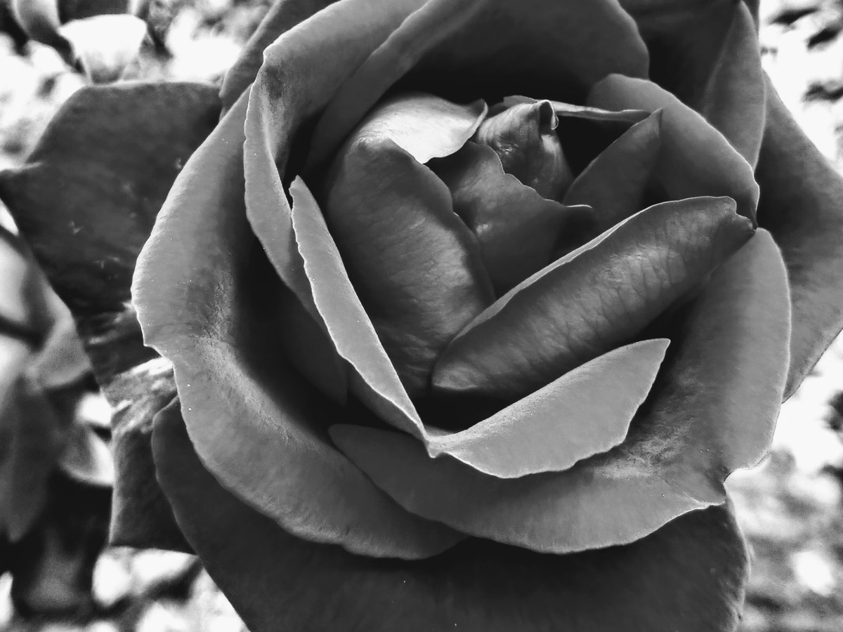 BGB: Overcoming misogyny, racism, generational trauma, and various jackasseries with the power of Stories and&nbsp;Sarcasm